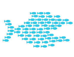 Training excelleren, teamcoaching en samenwerking